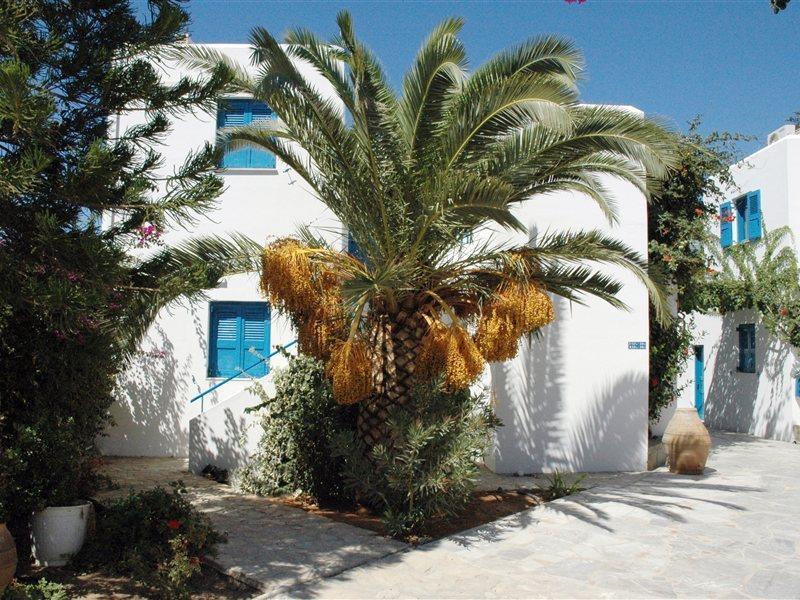 Galeana Beach Hotel Πλατανές Εξωτερικό φωτογραφία